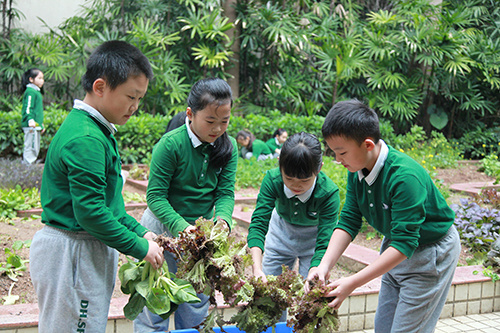 8c111930-26ed-4969-bad3-dcaa7b75cfa8.jpg